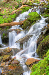 Fototapeta na wymiar Rainier Waterfall