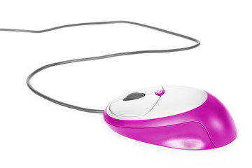 computer mouse