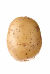 Potato
