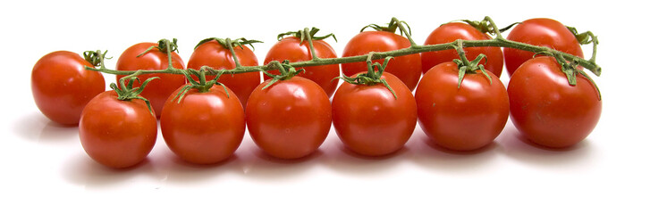 Ripe tomatoes
