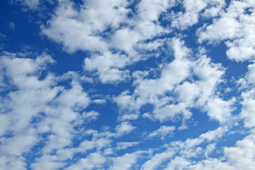 Fototapeta premium nuages de beau temps sur ciel bleu