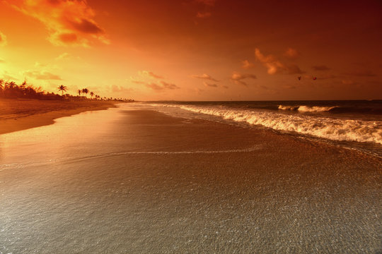 ocean sunrise
