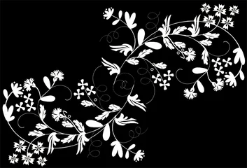 Abwaschbare Fototapete Blumen schwarz und weiß zwei weiße Blumenzweige