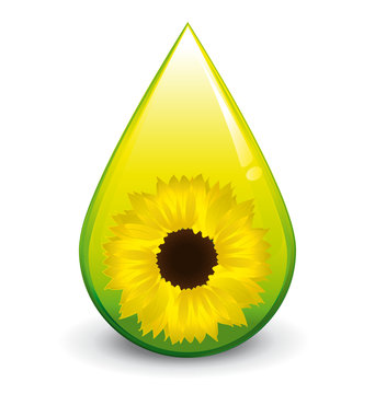 Biodiesel sunflower droplet
