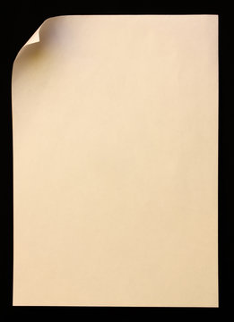 paper page