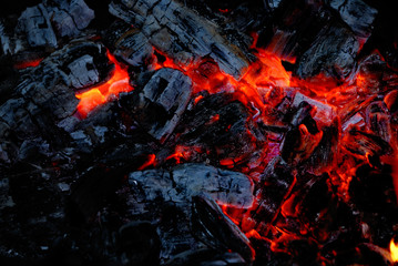 The wood coal burns on fire