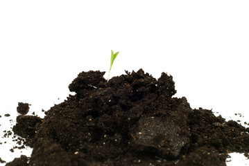 New Beginning Concept