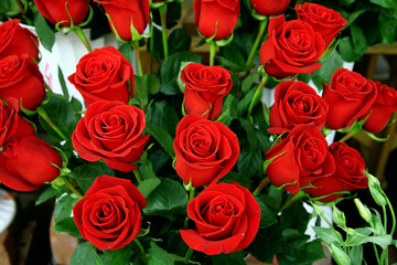 decorative beautiful bouquet of red fresh roses