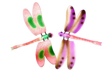 two colorful dragonfly flying insects isolated