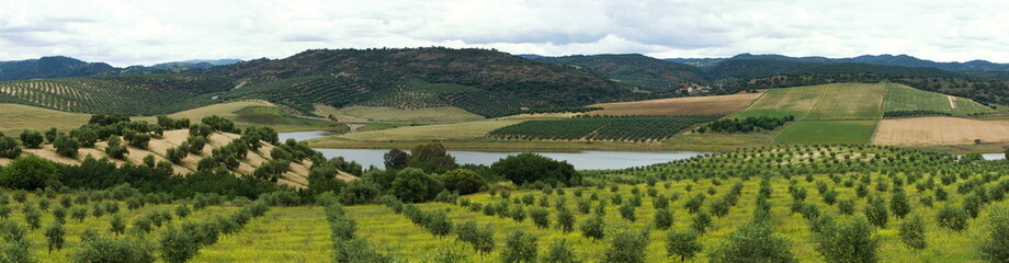 Fototapeta na wymiar Andaluzja panoramiczny wsi