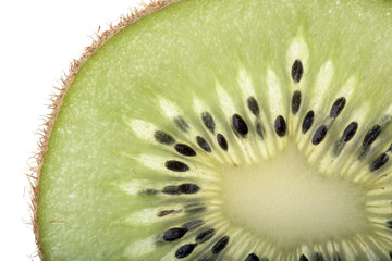 Section of a Kiwi Fruit slice