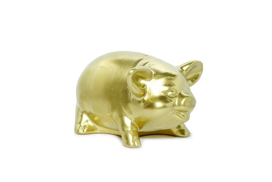 golden piggy bank