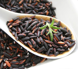 klebereis