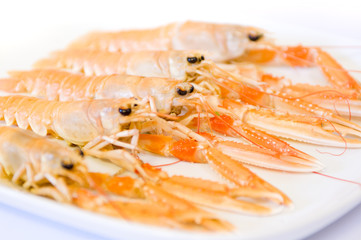 Platter of langoustine or scampi - Nephrops norvegicus