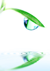 Water drop