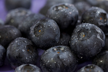 frische Blaubeeren
