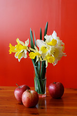 jonquilles narcisses et pommes