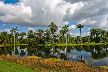 Fototapeta na wymiar Fairchild tropical botanic garden, FL, USA