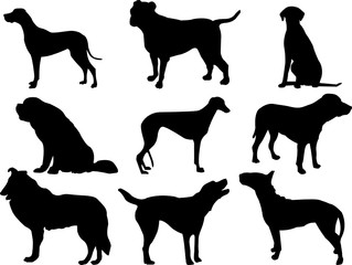 dogs collection - vector