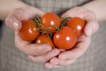 Gemüsehändlerin zeigt frische Bio Tomaten