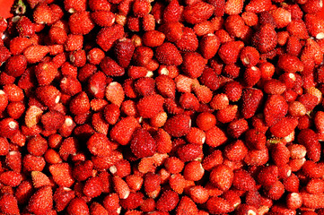 strawberry