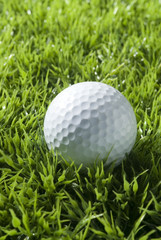 golf ball