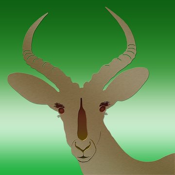 Impala brushed brass - Schwarznasenimpala