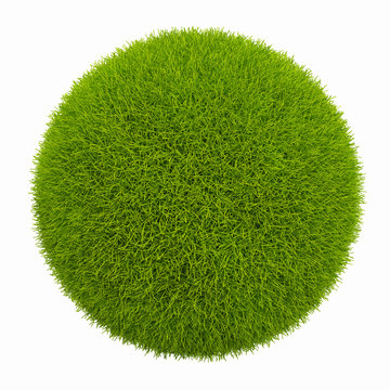 green small planet