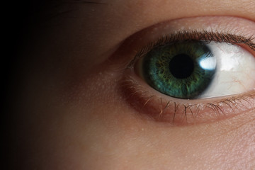 Closeup of an eye
