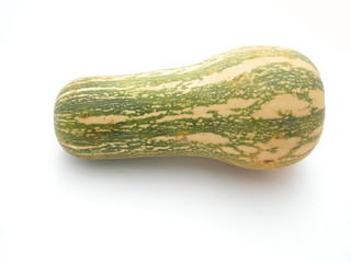 kürbis - Butternut