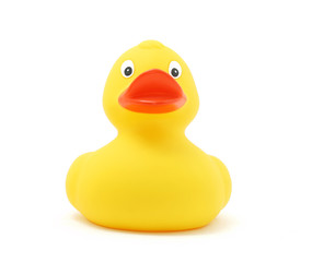 rubber duck