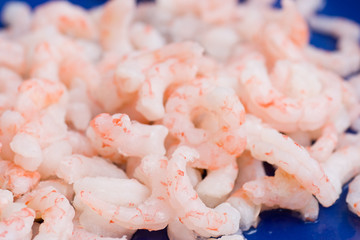 Shrimps