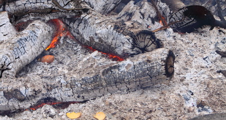burning logs