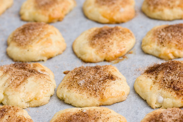 Cinnamon cookies