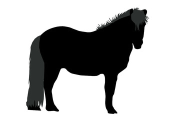 Ponymähne