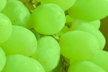 Green grapes