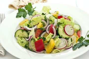 Bio Salat