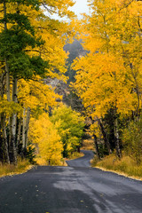 A Country Colorful Autumn Road