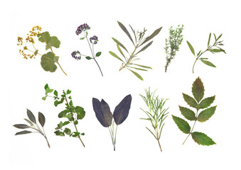 Dried Herb Leaf Selection