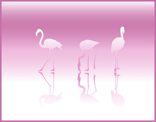 background with silhouettes of flamingos on pink