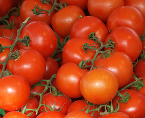 Tomaten