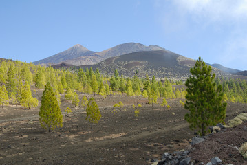 Teneriffa / Teide