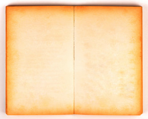 blank page of an old book
