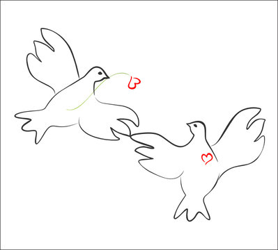 Loving couple of doves