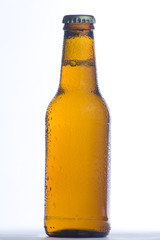 a fresh cold and tasty beer isolated
