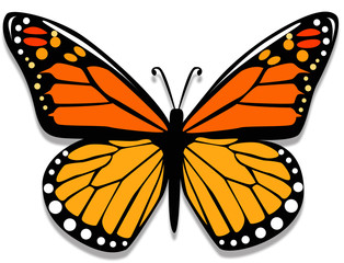 Farfalla