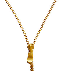Golden zipper © Le Do