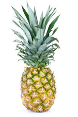 Whole pineapple