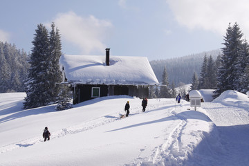 Ferienhaus in den verschneiten Alpen