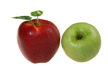 Red and Green apples